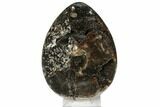 Bargain, Septarian Dragon Egg Geode - Black Crystals #123051-1